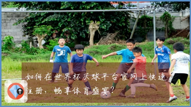 如何在世界杯买球平台官网上快速注册，畅享体育盛宴？