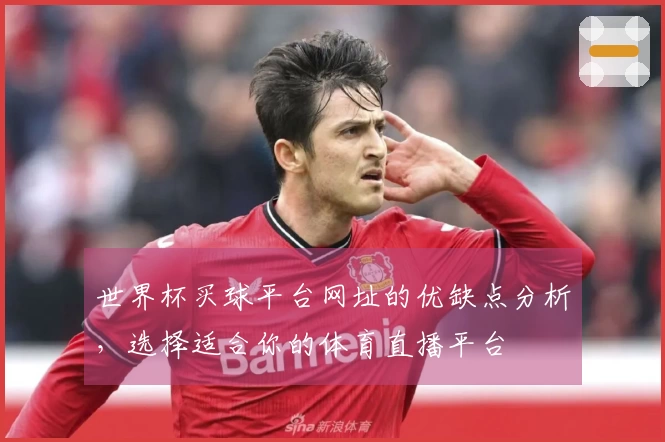 世界杯买球平台网址的优缺点分析，选择适合你的体育直播平台