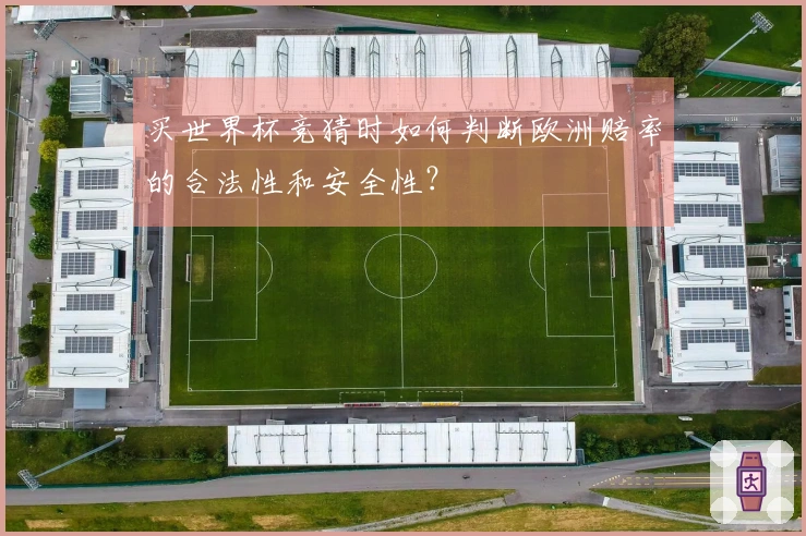 买世界杯竞猜时如何判断欧洲赔率的合法性和安全性？