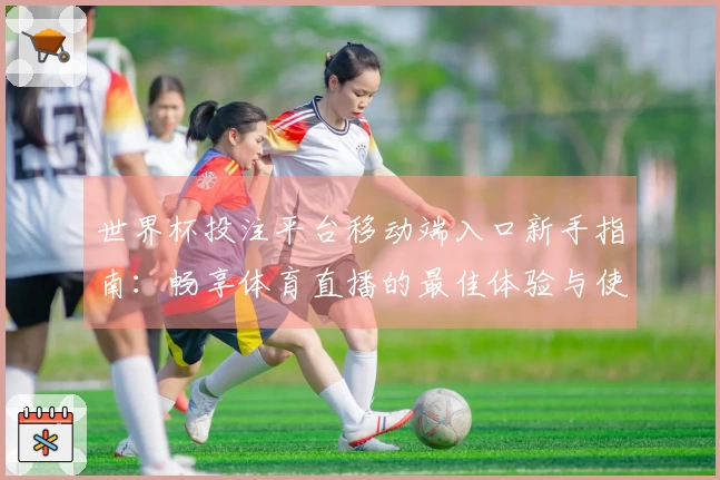 世界杯投注平台移动端入口新手指南：畅享体育直播的最佳体验与使用技巧