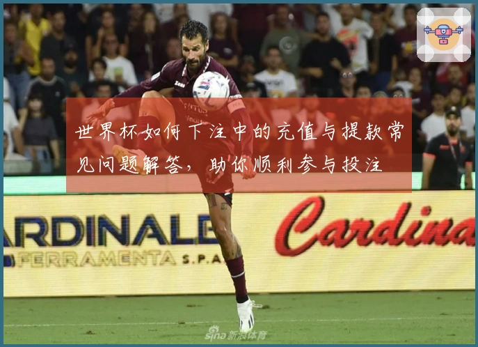 世界杯如何下注中的充值与提款常见问题解答，助你顺利参与投注