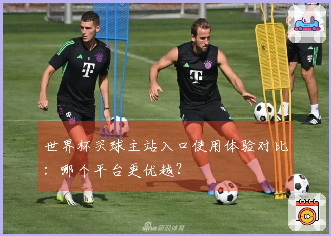 世界杯买球主站入口使用体验对比：哪个平台更优越？