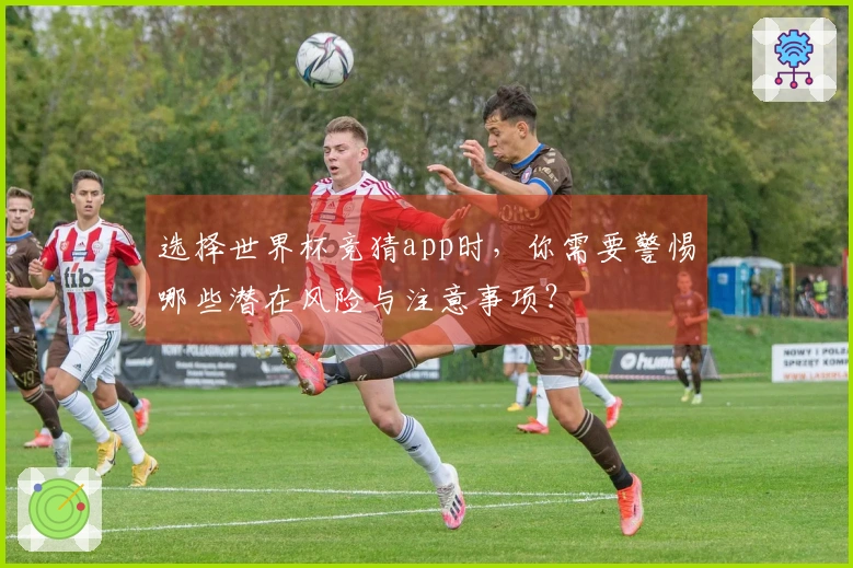 选择世界杯竞猜app时，你需要警惕哪些潜在风险与注意事项？