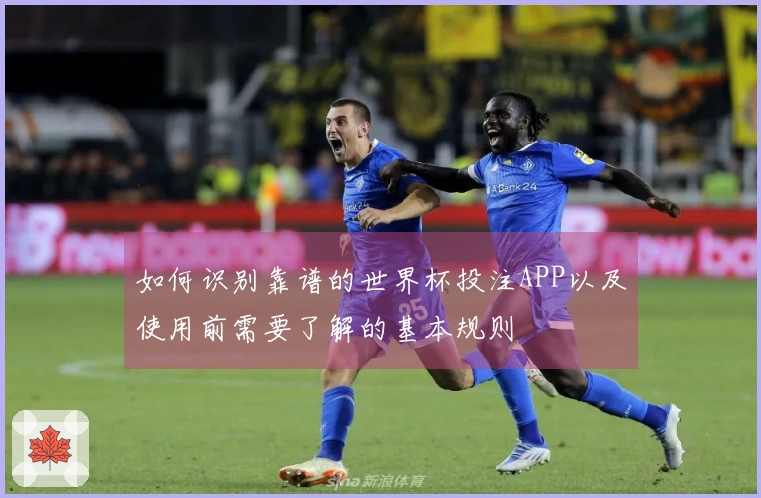 如何识别靠谱的世界杯投注APP以及使用前需要了解的基本规则