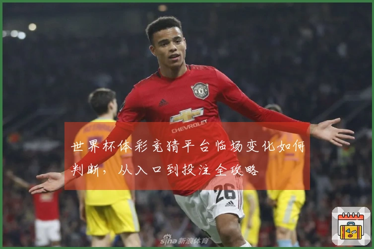 世界杯体彩竞猜平台临场变化如何判断，从入口到投注全攻略