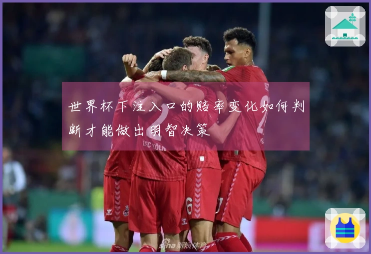 世界杯下注入口的赔率变化如何判断才能做出明智决策