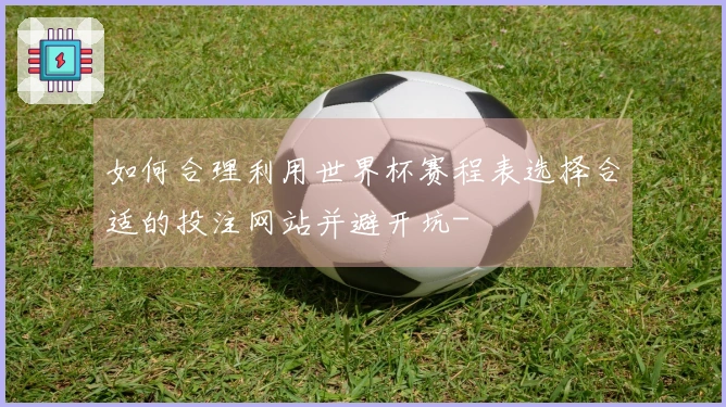如何合理利用世界杯赛程表选择合适的投注网站并避开坑-
