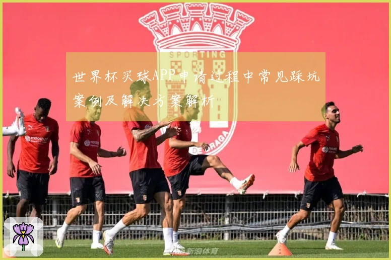 世界杯买球APP申请过程中常见踩坑案例及解决方案解析