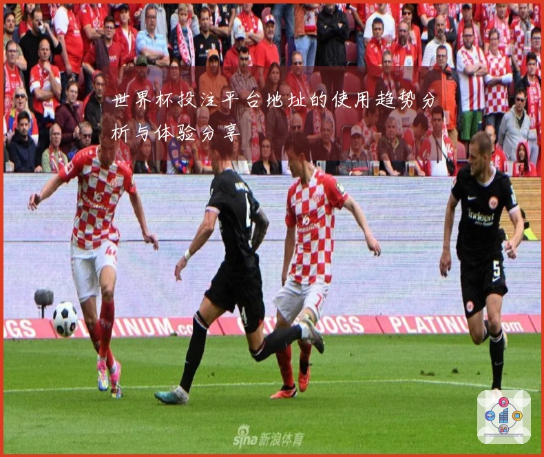 世界杯投注平台地址的使用趋势分析与体验分享