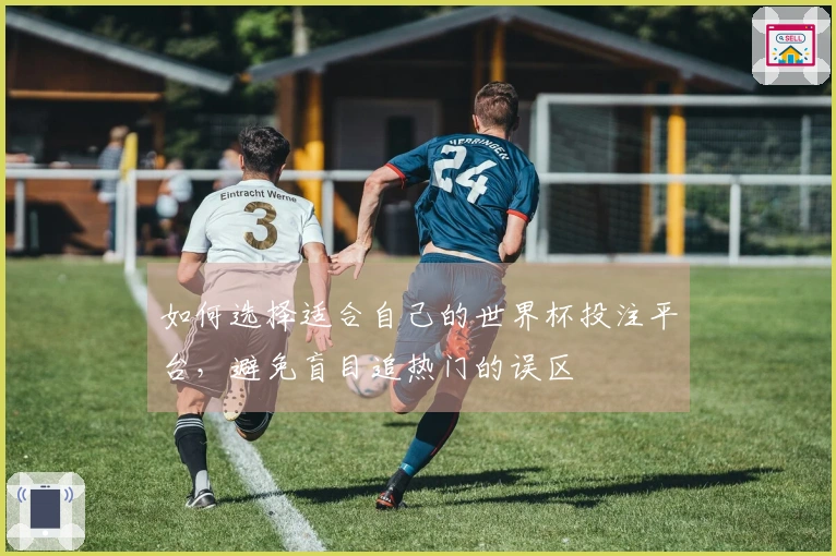 如何选择适合自己的世界杯投注平台，避免盲目追热门的误区