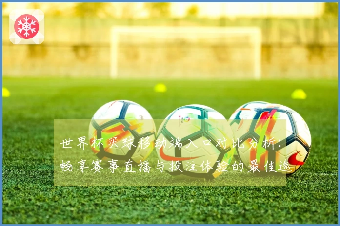 世界杯买球移动端入口对比分析：畅享赛事直播与投注体验的最佳选择