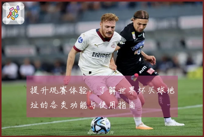 提升观赛体验，了解世界杯买球地址的各类功能与使用指南