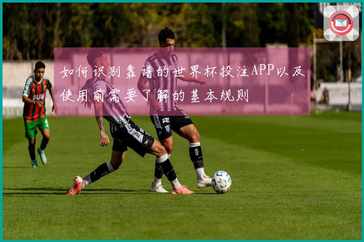 如何识别靠谱的世界杯投注APP以及使用前需要了解的基本规则