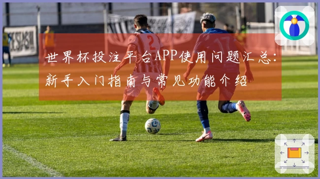 世界杯投注平台APP使用问题汇总：新手入门指南与常见功能介绍