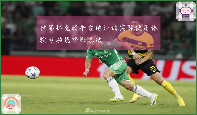 世界杯竞猜平台地址的实际使用体验与功能评测总结