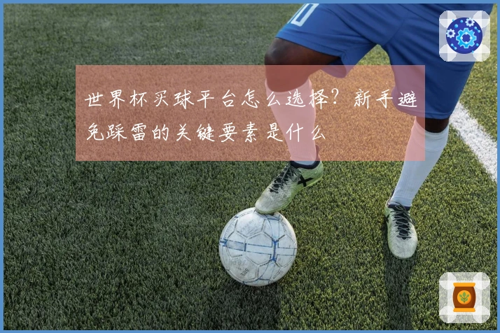 世界杯买球平台怎么选择？新手避免踩雷的关键要素是什么