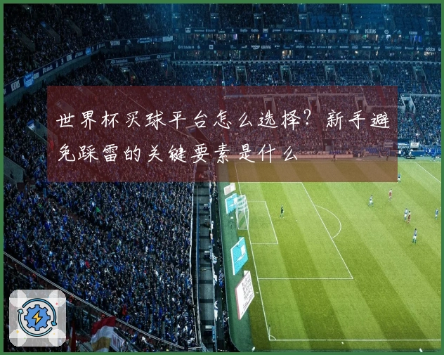 世界杯买球平台怎么选择？新手避免踩雷的关键要素是什么