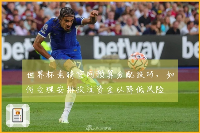世界杯竞猜官网预算分配技巧，如何合理安排投注资金以降低风险
