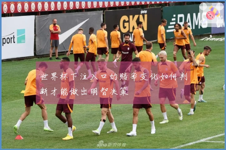 世界杯下注入口的赔率变化如何判断才能做出明智决策
