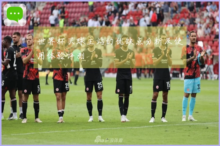 世界杯买球主站的优缺点分析及使用体验评测