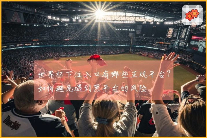 世界杯下注入口有哪些正规平台？如何避免遇到黑平台的风险