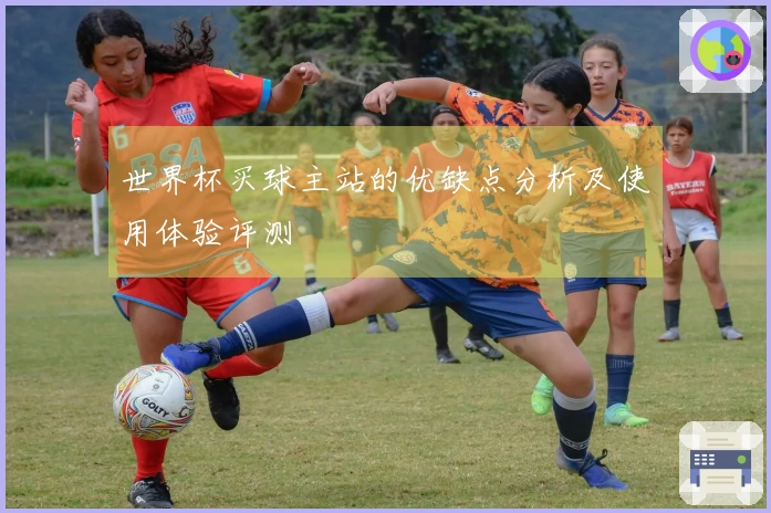 世界杯买球主站的优缺点分析及使用体验评测