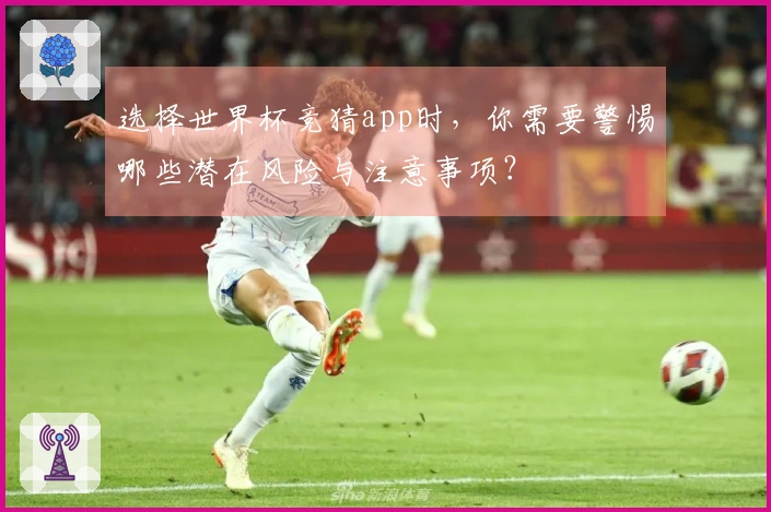 选择世界杯竞猜app时，你需要警惕哪些潜在风险与注意事项？